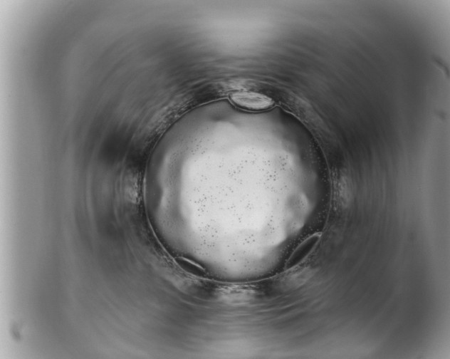 X0000101230331200807071418