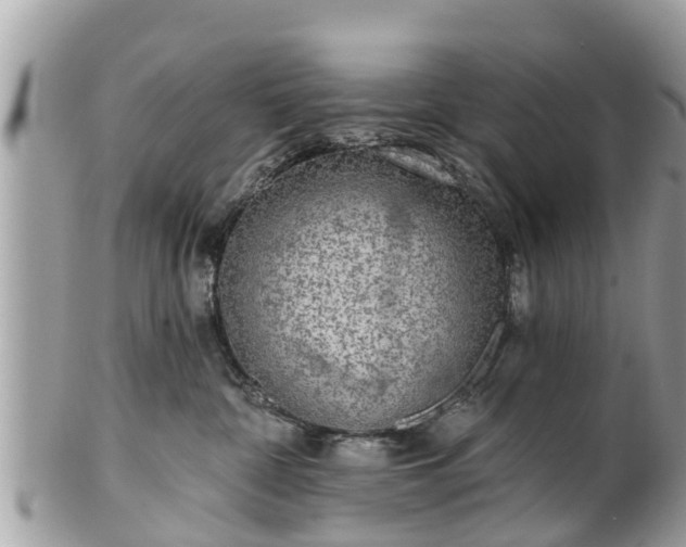 X0000101230332200807071418