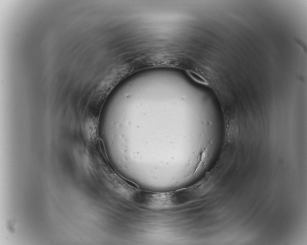 X0000101230335200807071418