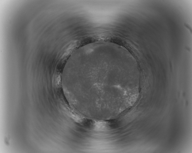 X0000101230336200807071418