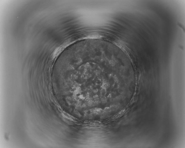 X0000101230337200807071417