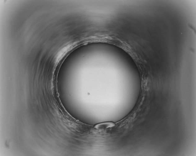 X0000101230340200807071417