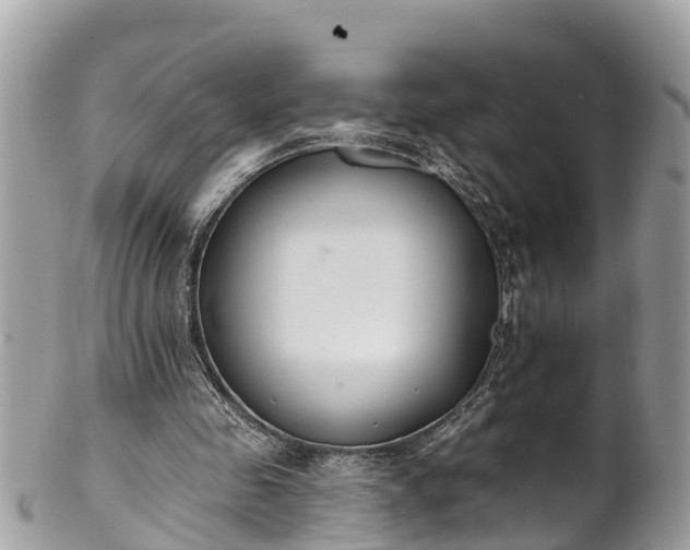 X0000101230341200807071417