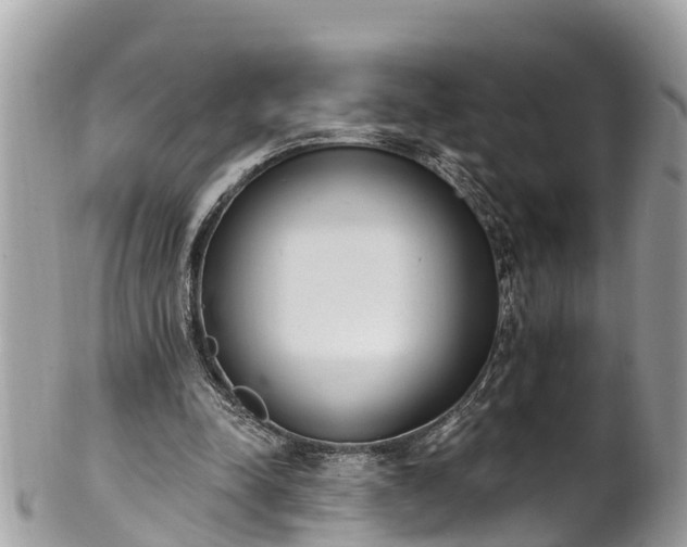 X0000101230342200807071417