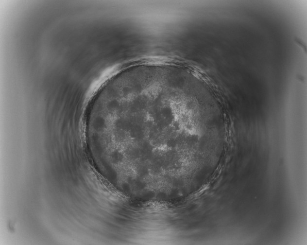 X0000101230343200807071417