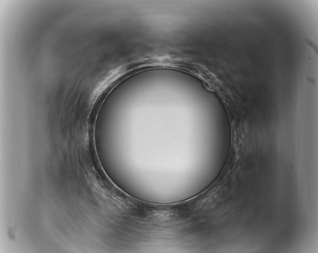 X0000101230344200807071417