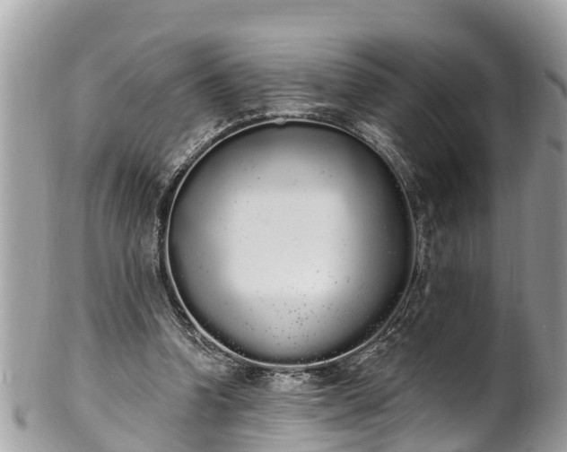 X0000101230346200807071417