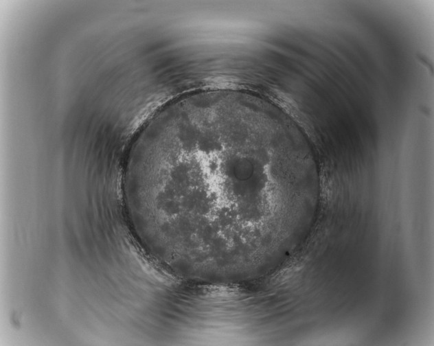 X0000101230347200807071417