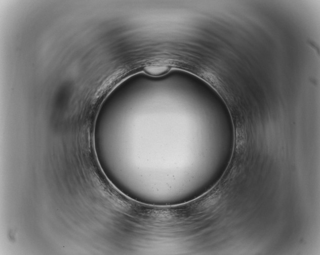 X0000101230349200807071417