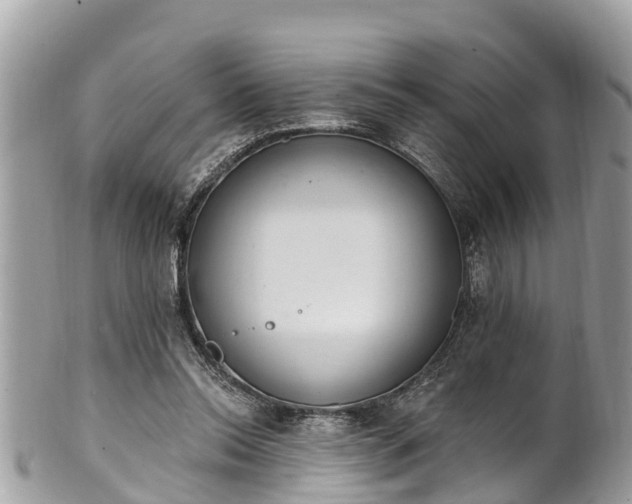 X0000101230350200807071417