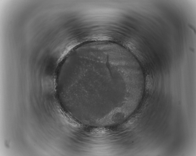 X0000101230351200807071417