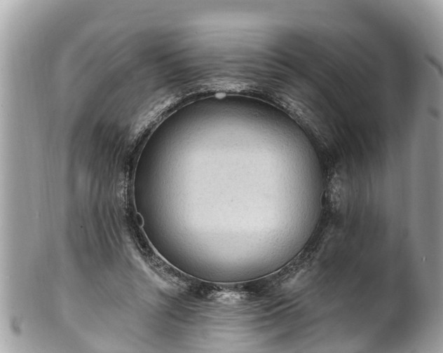 X0000101230352200807071417