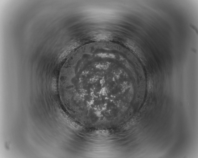 X0000101230353200807071417