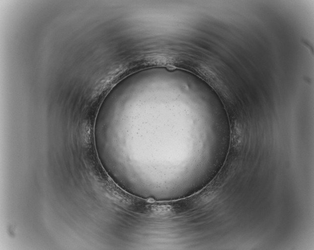 X0000101230355200807071417