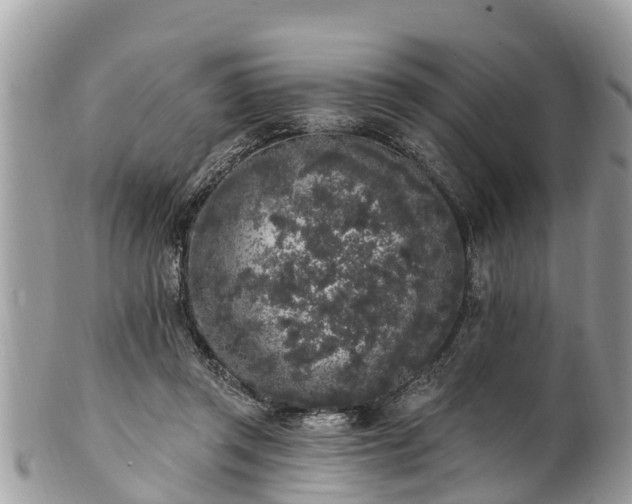 X0000101230357200807071417