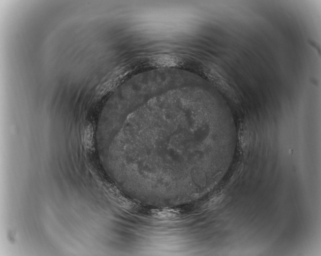 X0000101230359200807071417