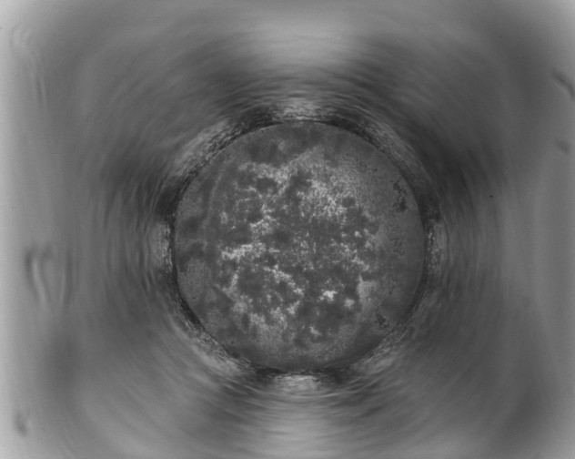 X0000101230361200807071417