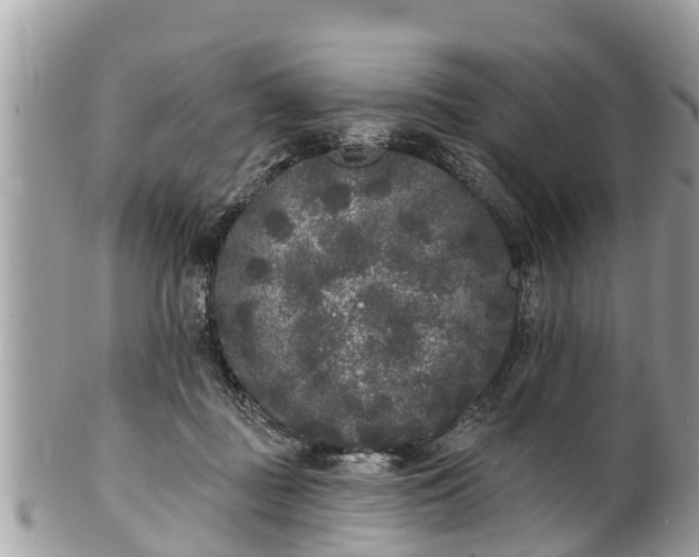 X0000101230363200807071417