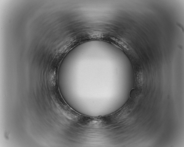 X0000101230364200807071417