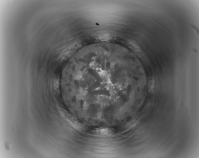 X0000101230365200807071417