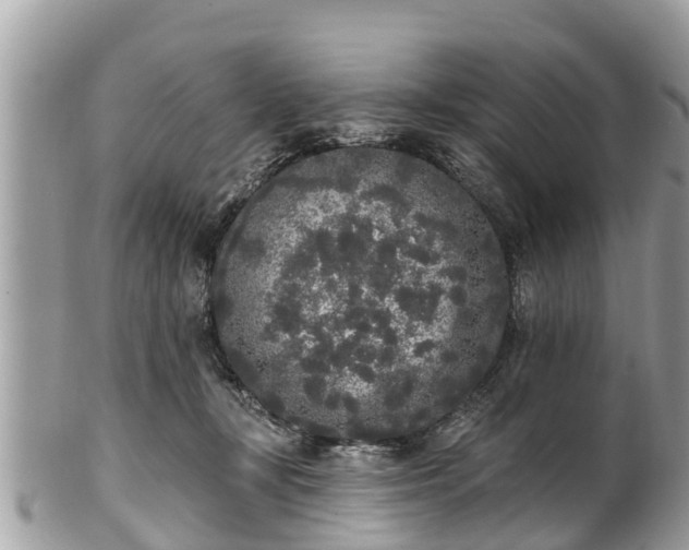 X0000101230367200807071418