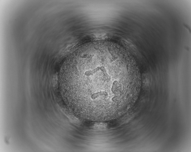 X0000101230369200807071418