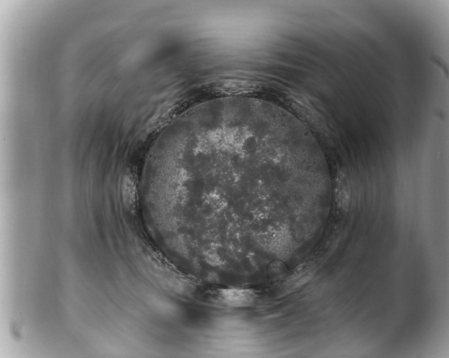 X0000101230371200807071418