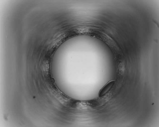 X0000101230372200807071418