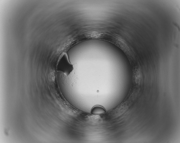 X0000101230374200807071418