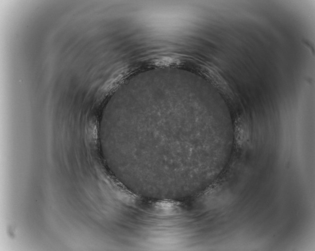 X0000101230375200807071418