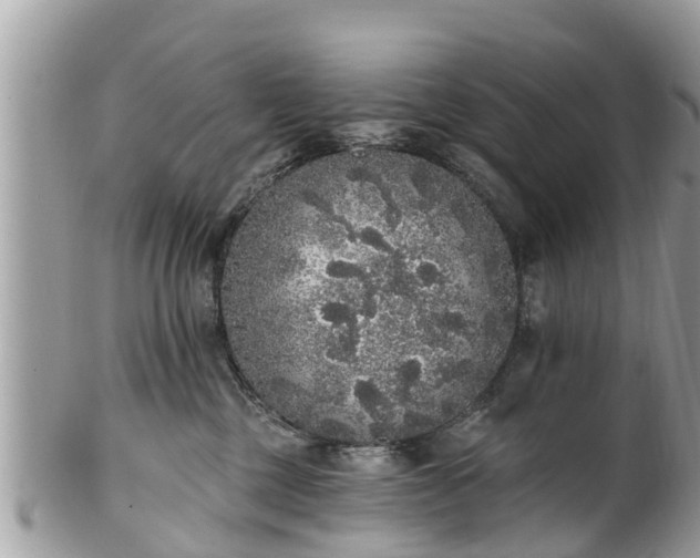 X0000101230377200807071418