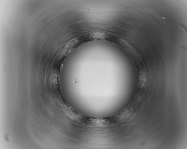 X0000101230379200807071418