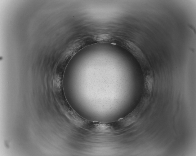 X0000101230380200807071418