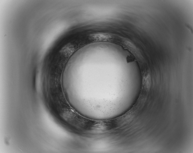 X0000101230381200807071418