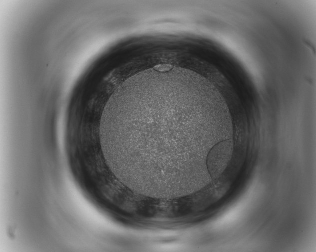 X0000101230383200807071418