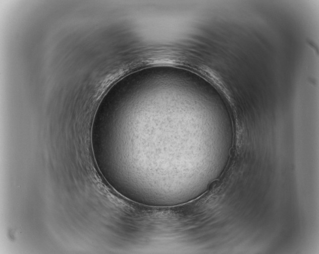 X0000101230385200807071417