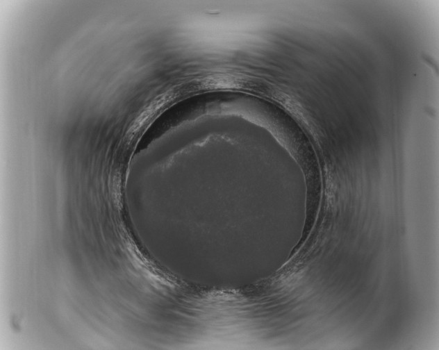 X0000101230386200807071417