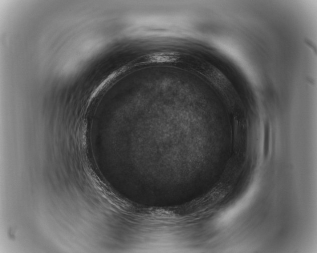 X0000101230387200807071417