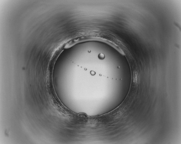 X0000101230388200807071417