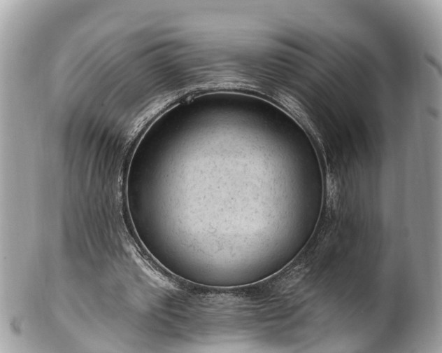 X0000101230389200807071417