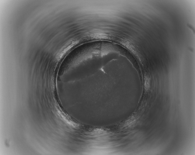 X0000101230390200807071417