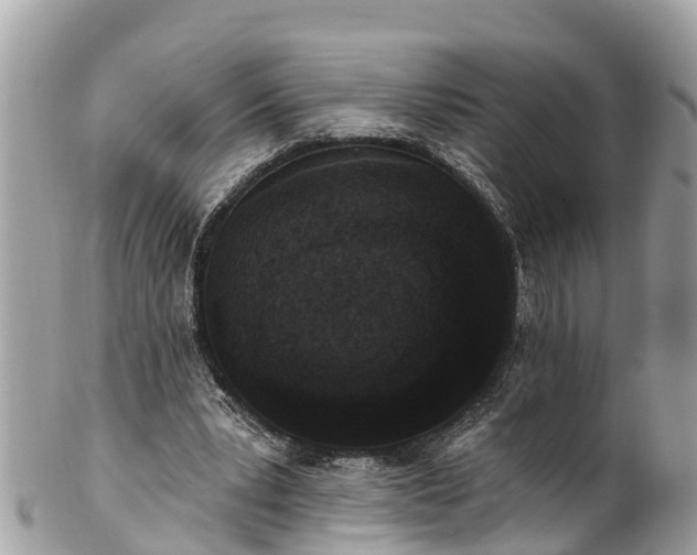 X0000101230391200807071417