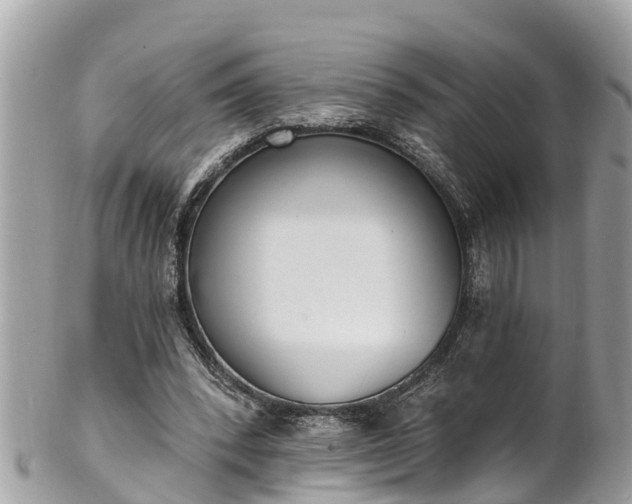 X0000101230392200807071417