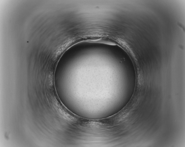 X0000101230393200807071417