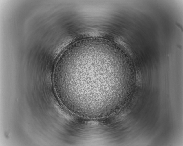 X0000101230394200807071417