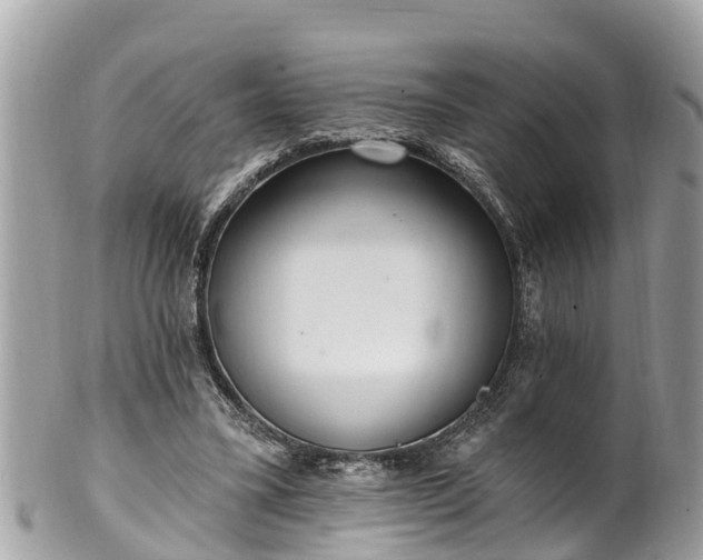 X0000101230395200807071417