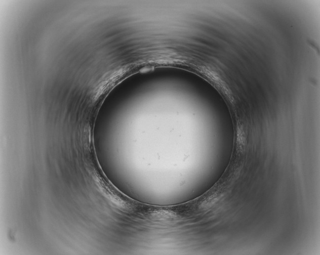 X0000101230397200807071417