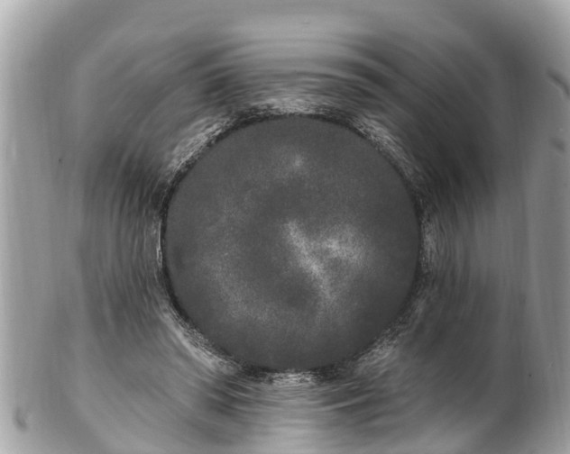 X0000101230398200807071417