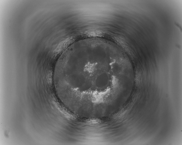 X0000101230402200807071417