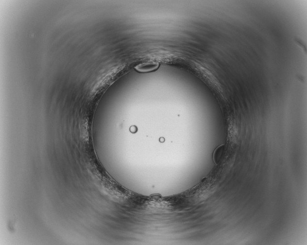 X0000101230403200807071417